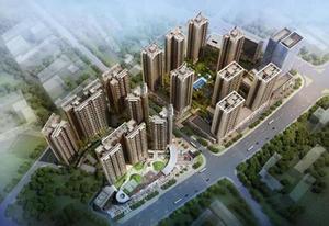 万科红